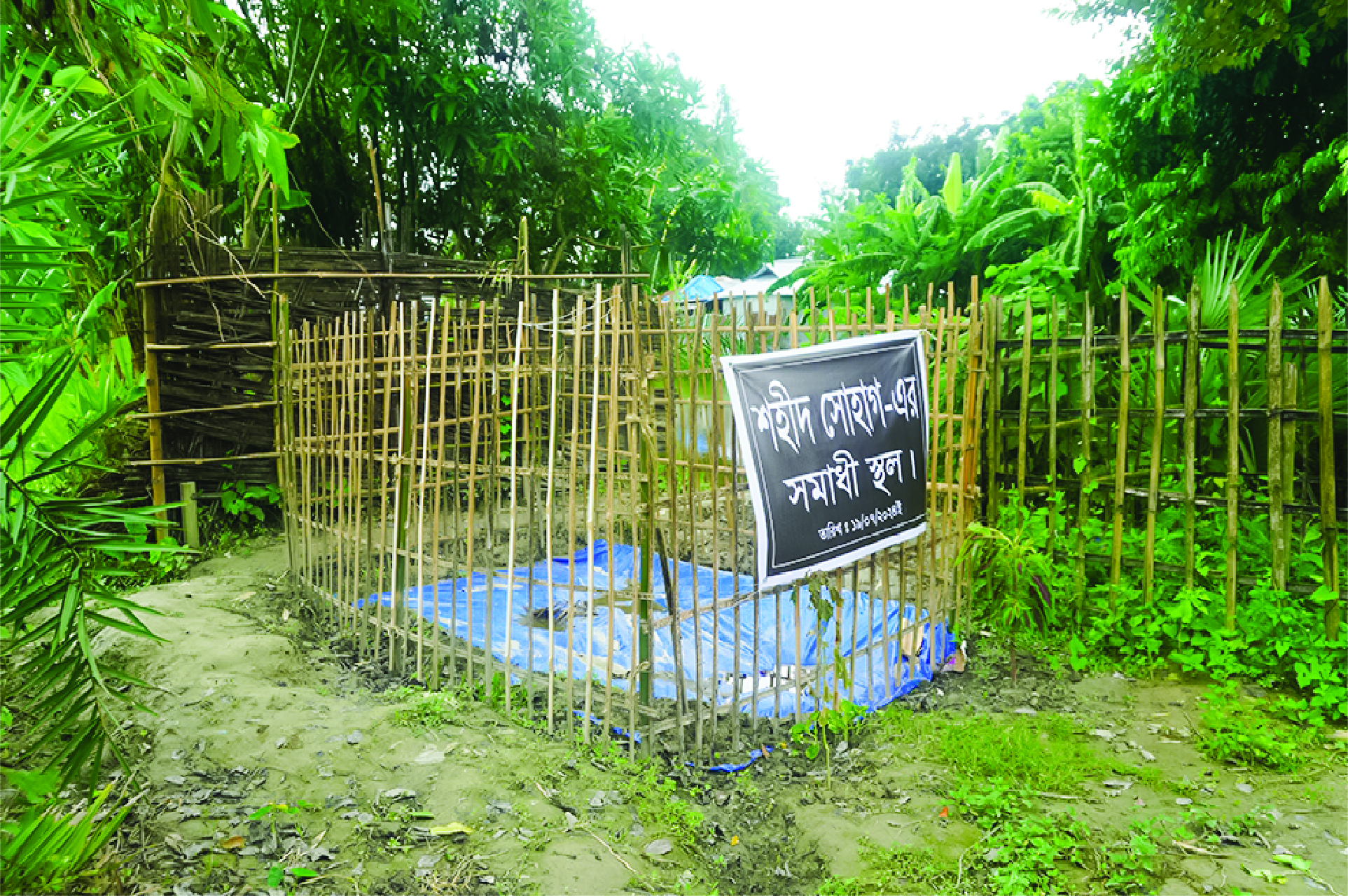 Image of মো: সোহাগ